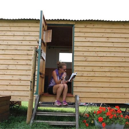 فندق Shepherdshuts-Southeast آشفورد المظهر الخارجي الصورة