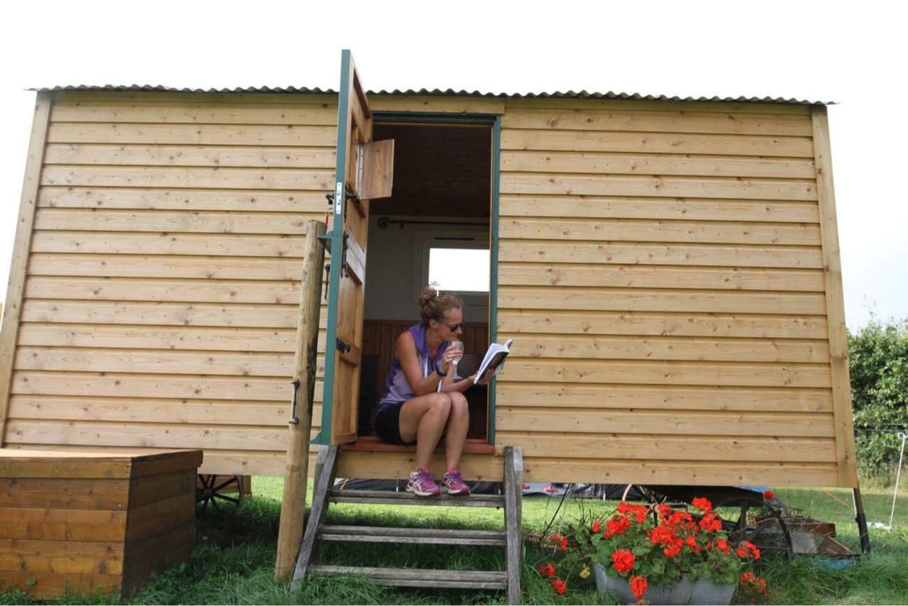 فندق Shepherdshuts-Southeast آشفورد المظهر الخارجي الصورة