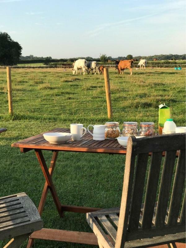 فندق Shepherdshuts-Southeast آشفورد المظهر الخارجي الصورة