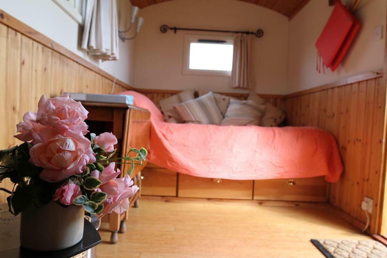 فندق Shepherdshuts-Southeast آشفورد المظهر الخارجي الصورة